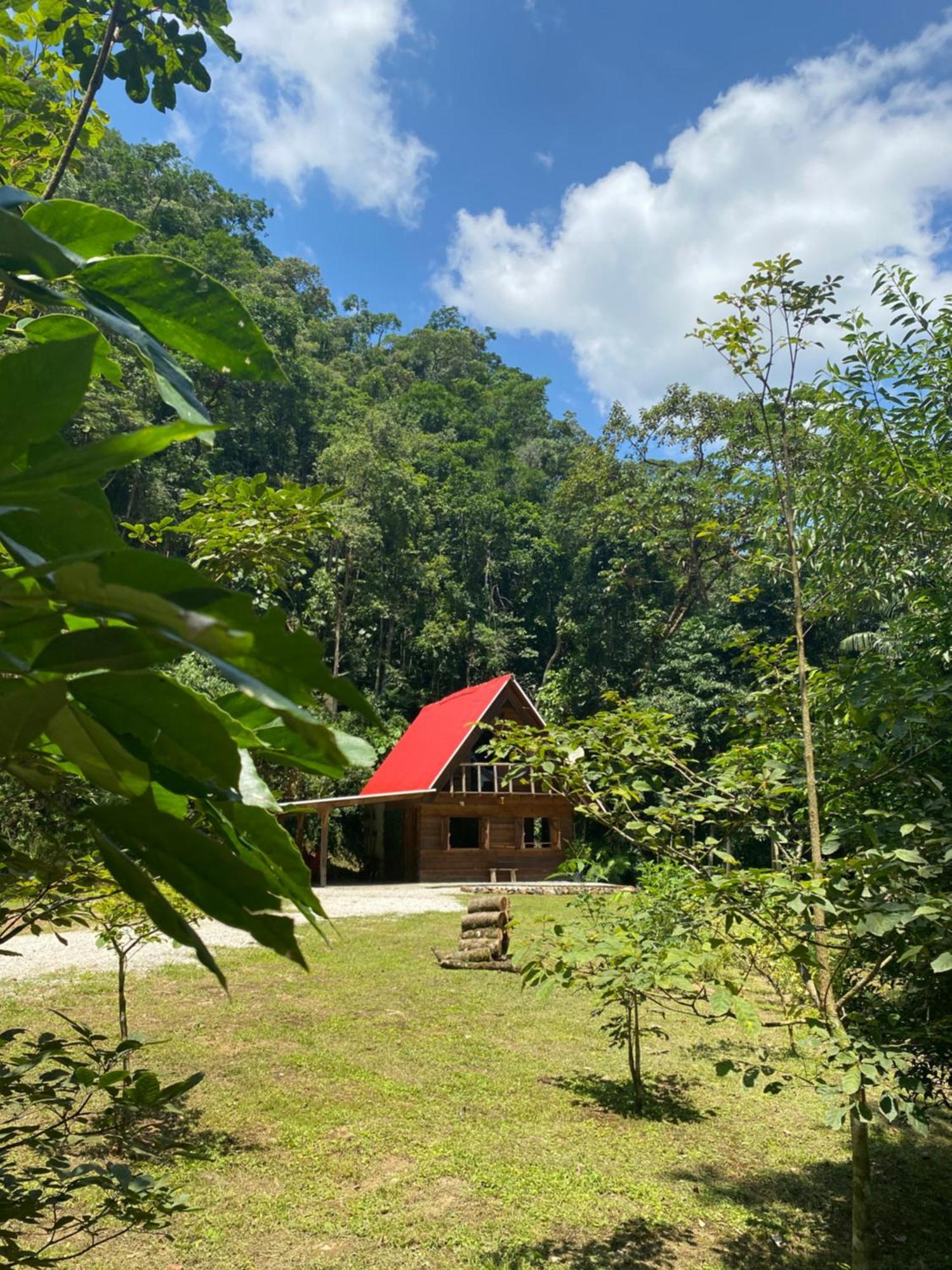 Chalé em meio à natureza! Guabiruba Exterior foto